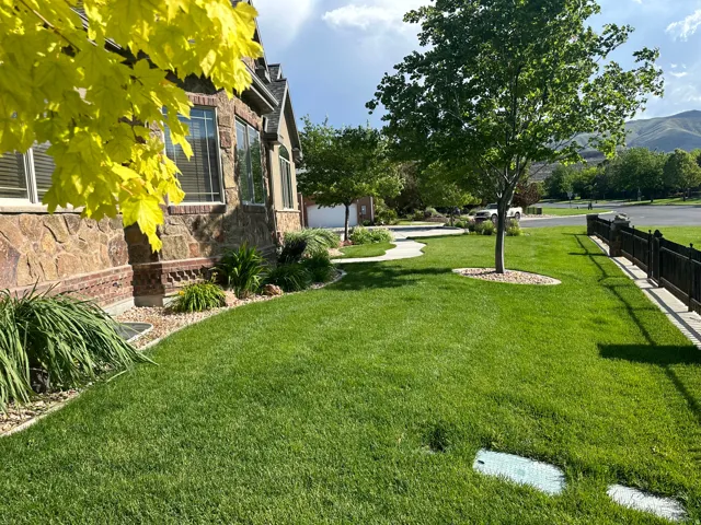 View of green lawn with a garage