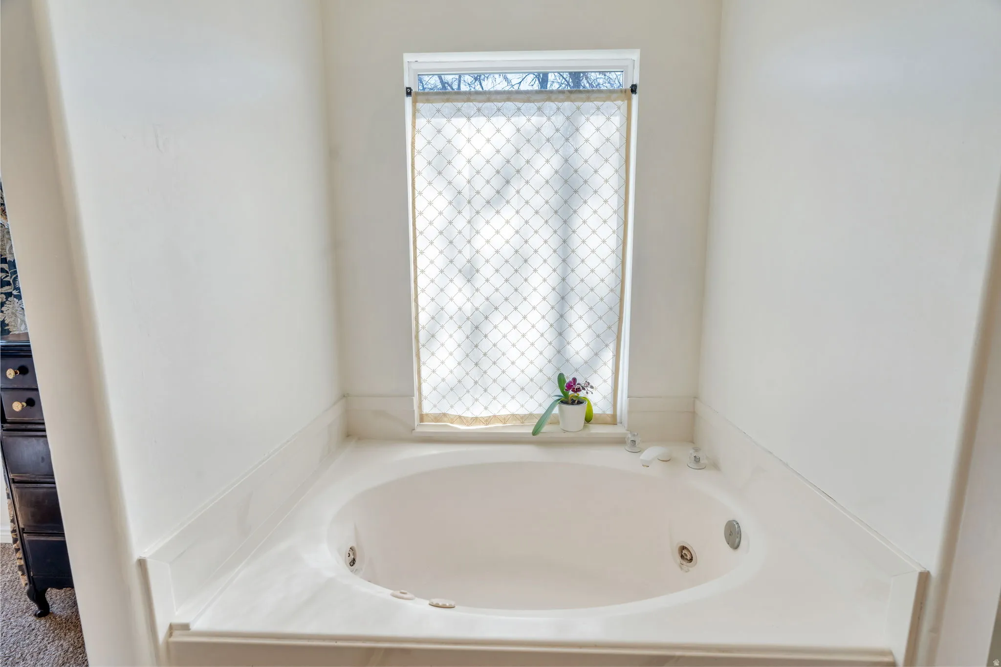 Jetted Tub