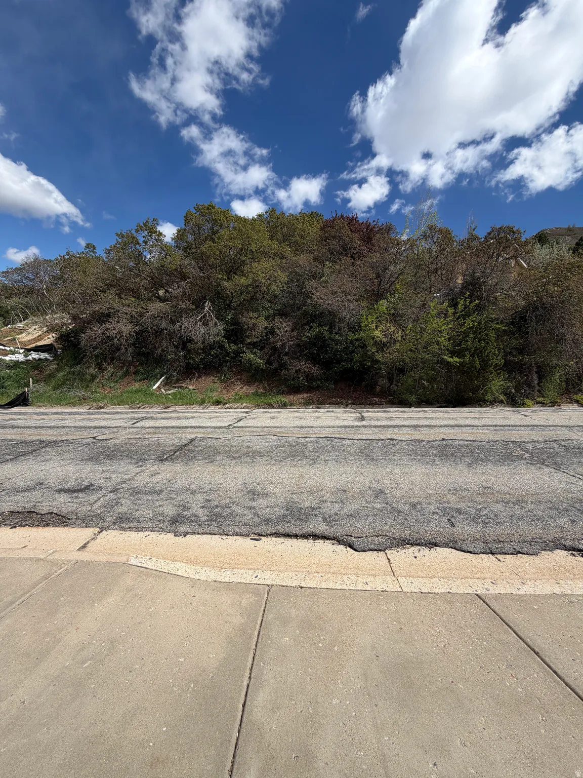 View of asphalt street