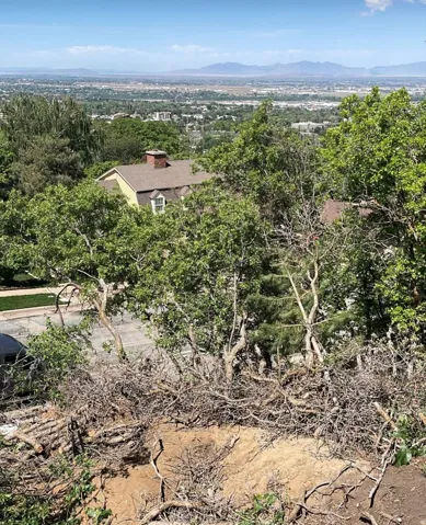 Bird's eye view of a mountain backdrop