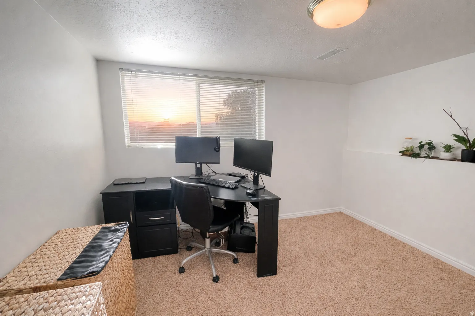 Office space featuring light carpet and a textured ceiling