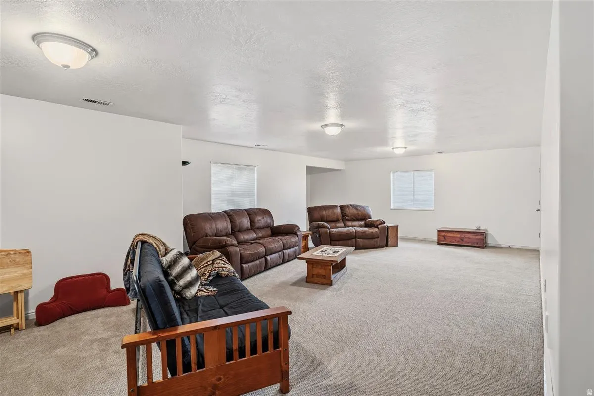Basement family room with walkout door