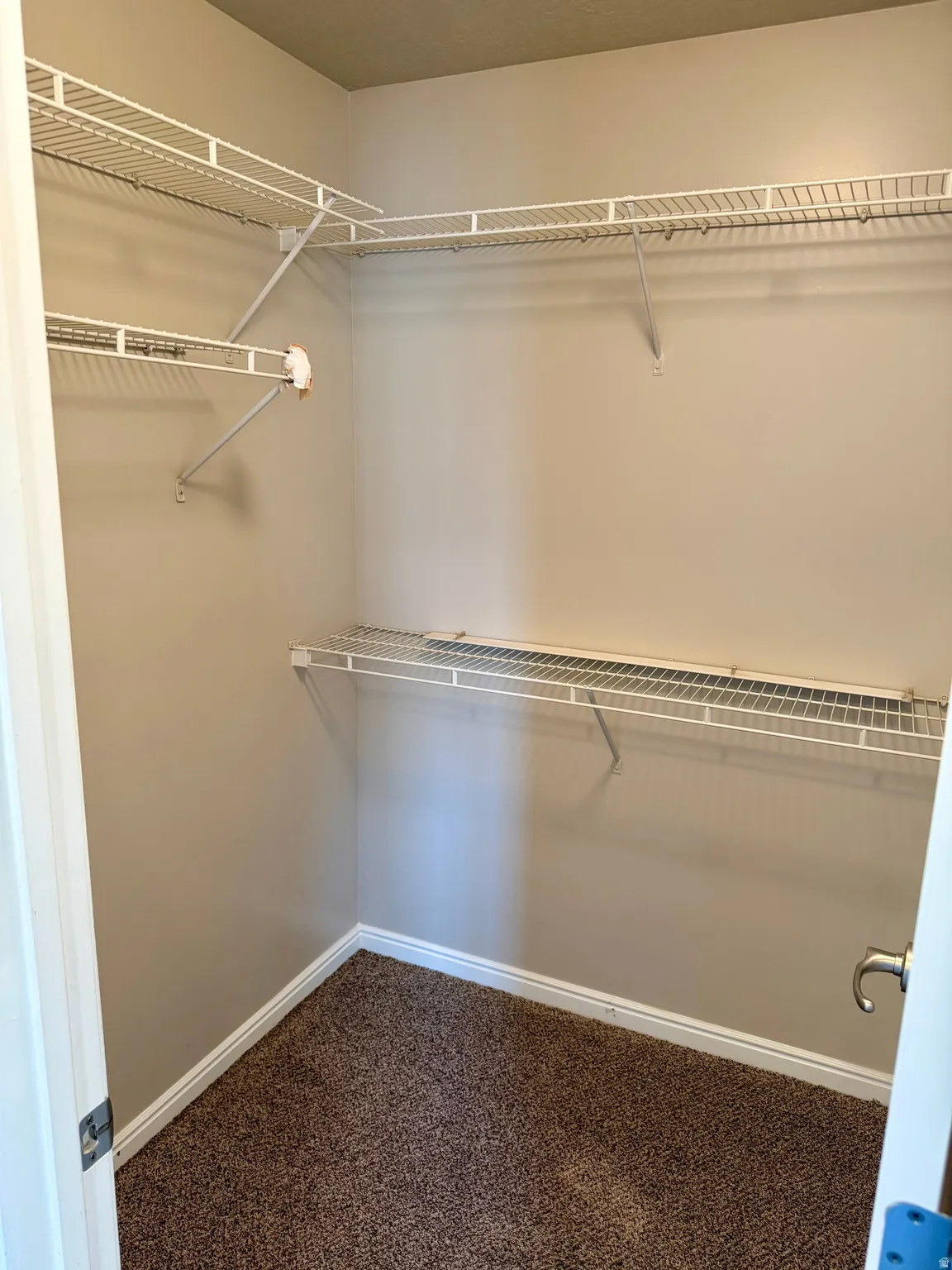 Walk in closet featuring dark colored carpet