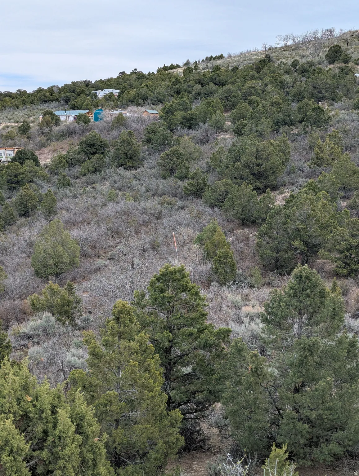 Looking East from Strawberry Way Road.