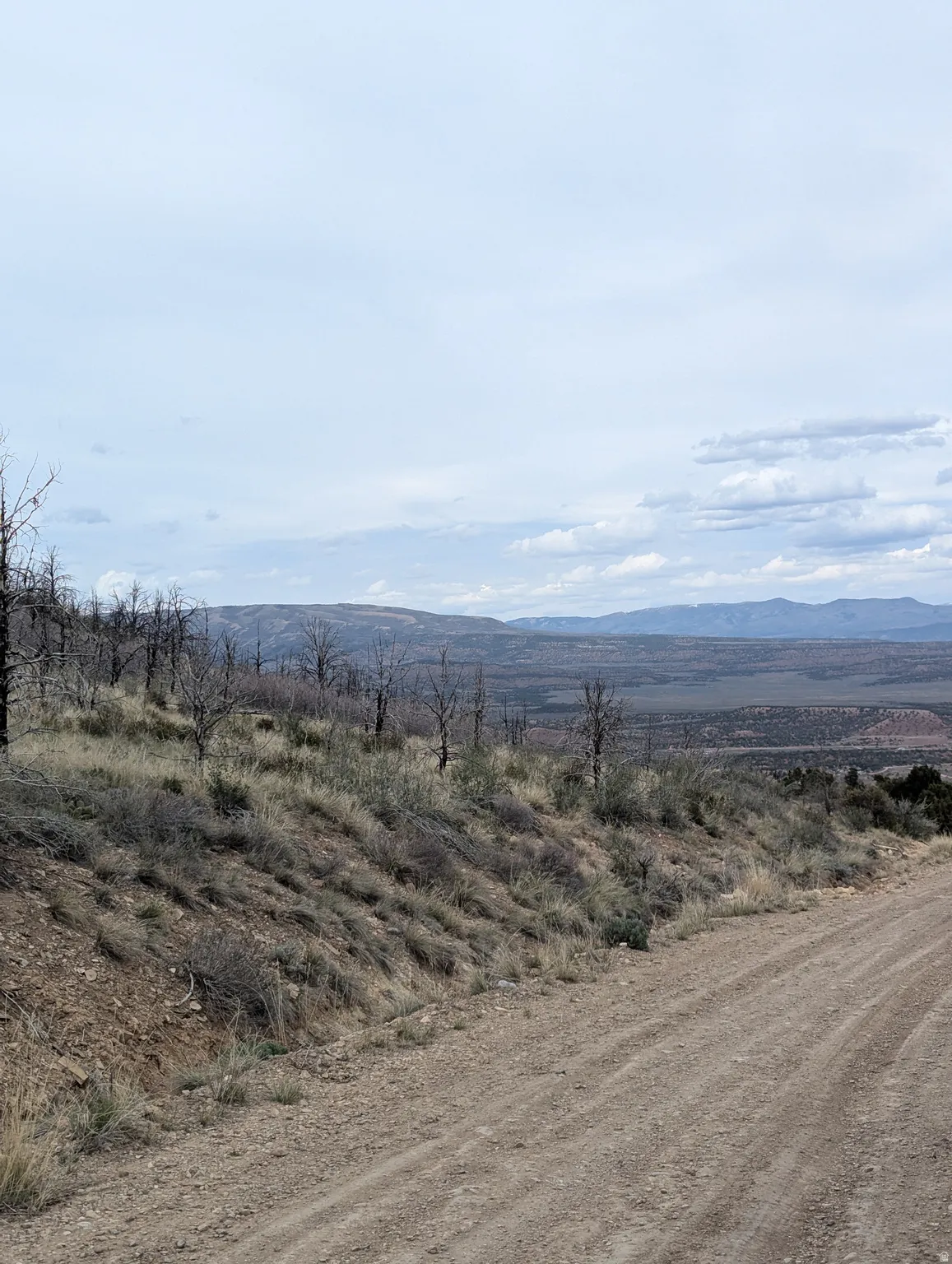 Looking Northwest at property. View of Tabby Mtn and Uintahs.