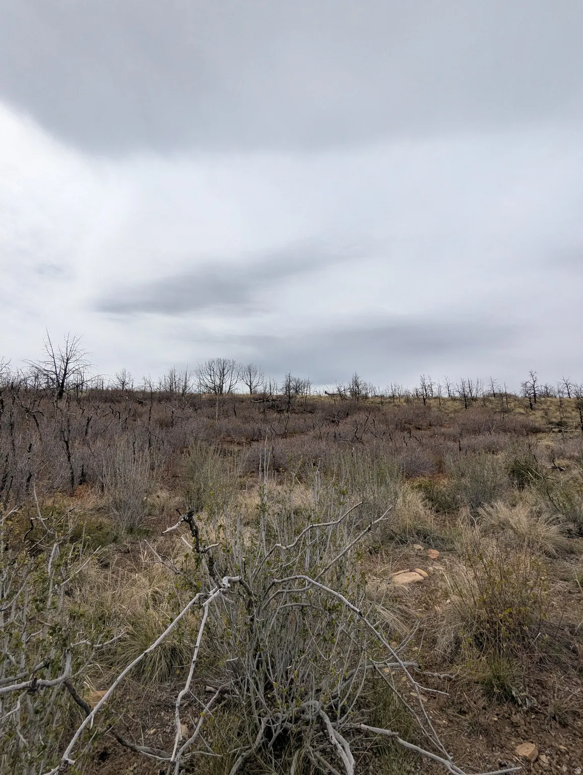 Looking West at property.