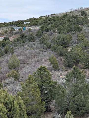 Looking East from Strawberry Way Road.