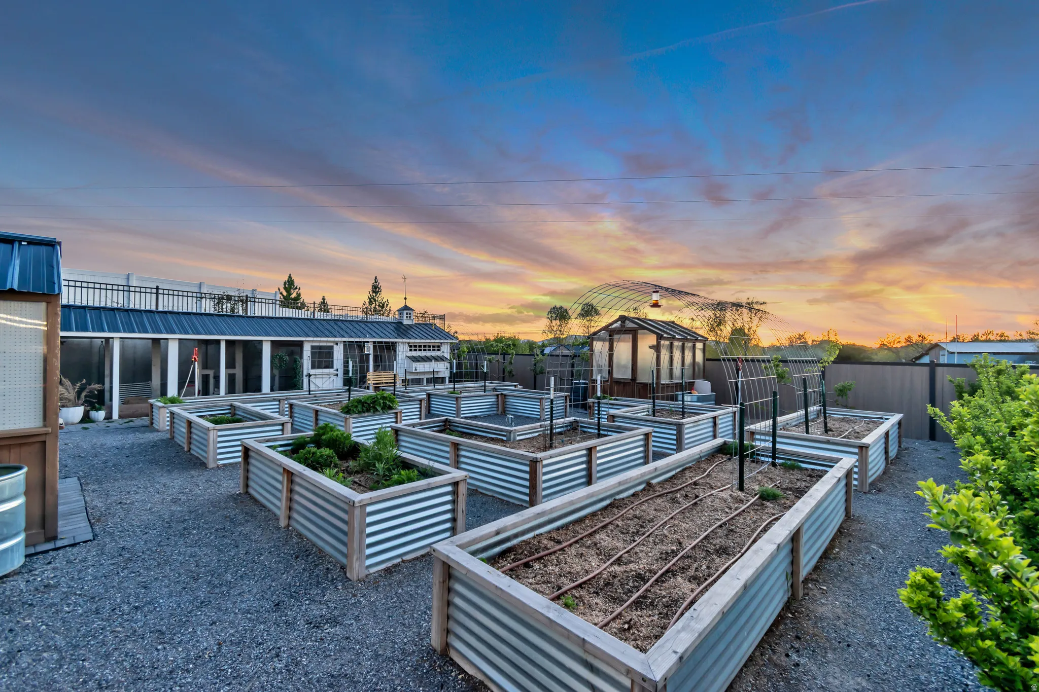 View of community with a patio, a vegetable garden, and an outdoor structure