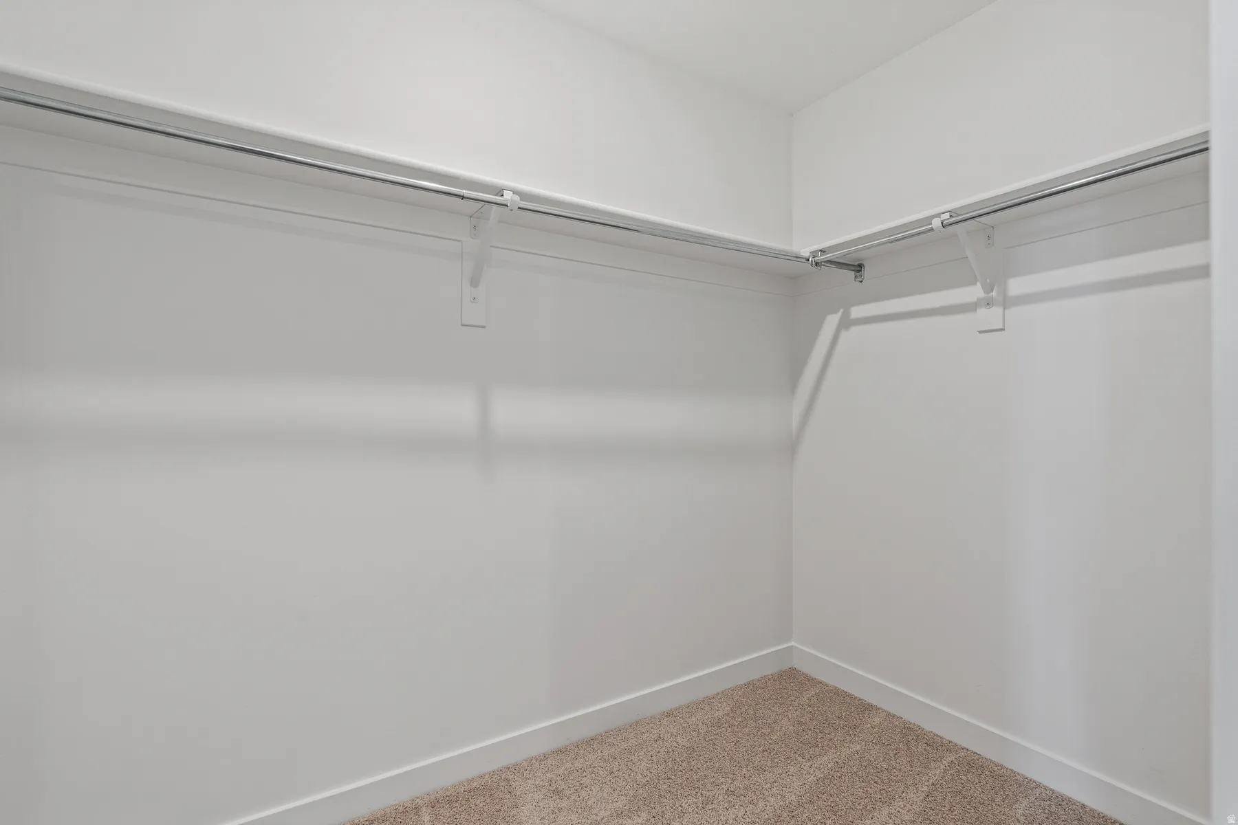 Walk-in closet featuring white walls, white trim, and light brown carpeting