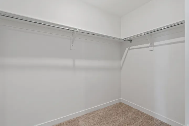 Walk-in closet featuring white walls, white trim, and light brown carpeting