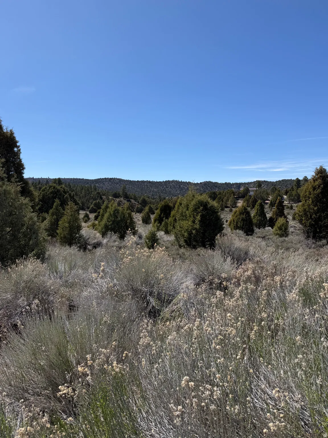 View of undeveloped land