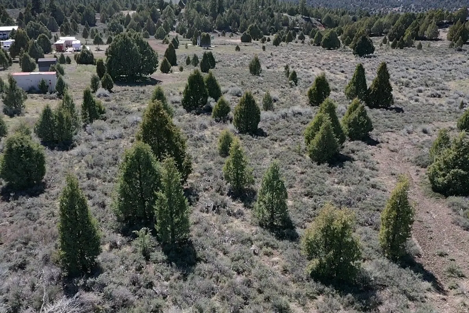 Overview of rural landscape