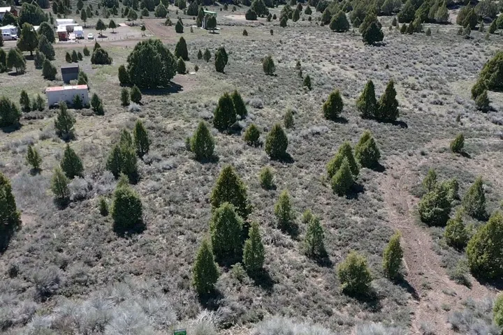 View of local wilderness with rural landscape