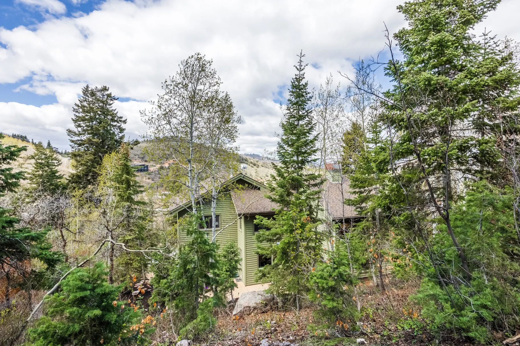 Wooded property featuring mature evergreen and deciduous trees