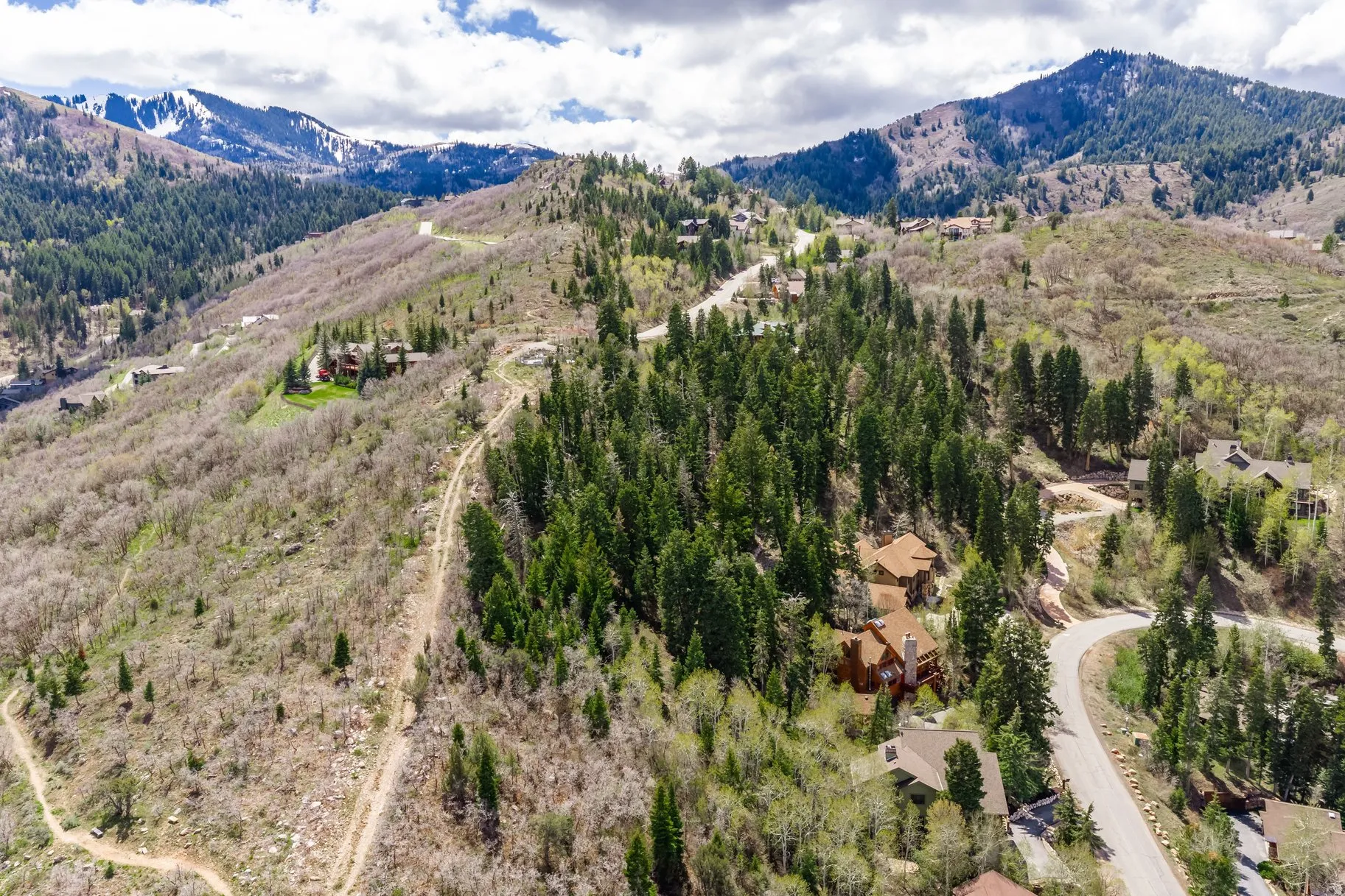 Mountainous terrain with expansive tree coverage