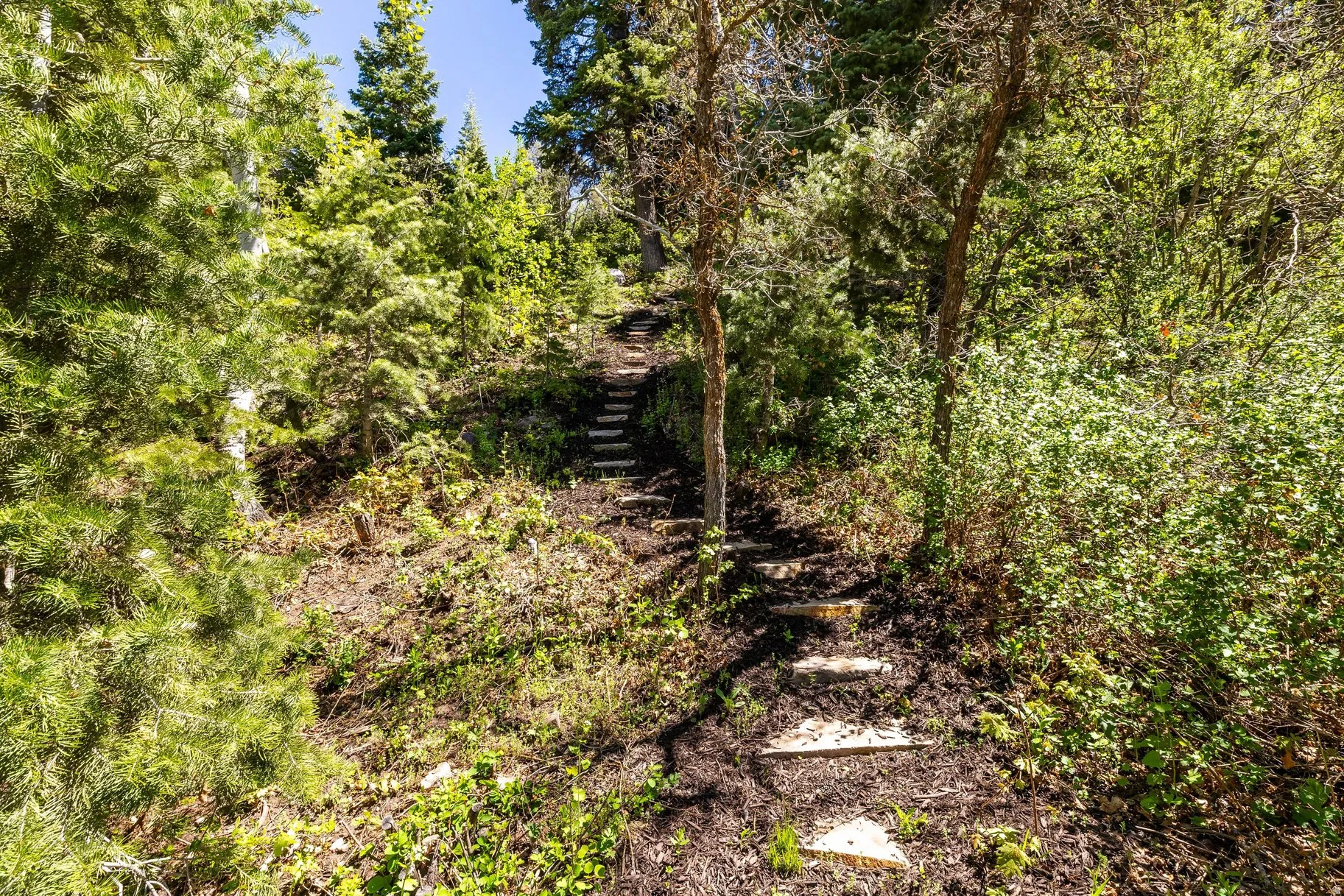 Tiered stone pathway ascending through natural landscaping
