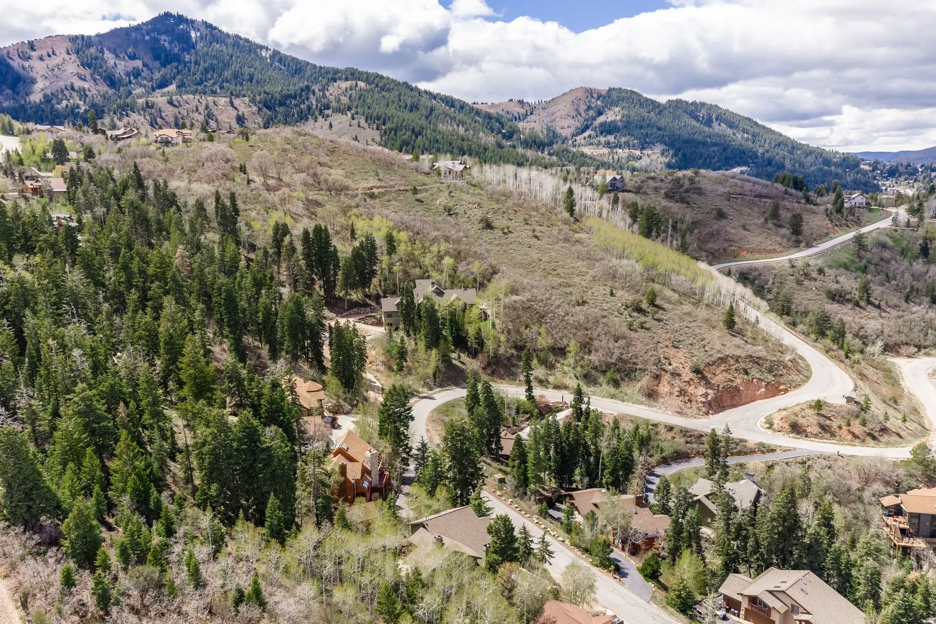 Mountainous terrain with natural tree coverage and winding roads