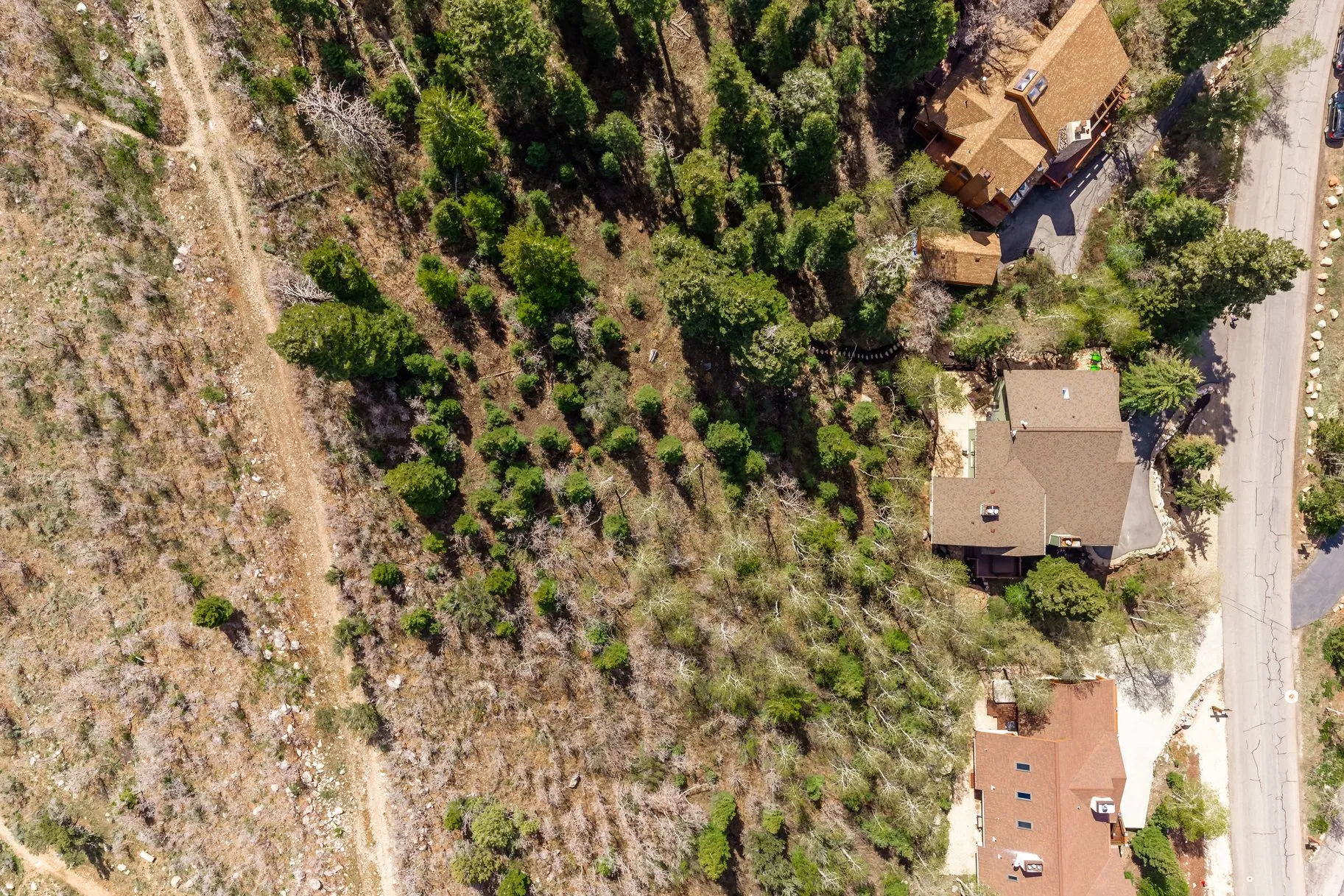 Expansive undeveloped land parcel featuring diverse tree coverage and a visible dirt path