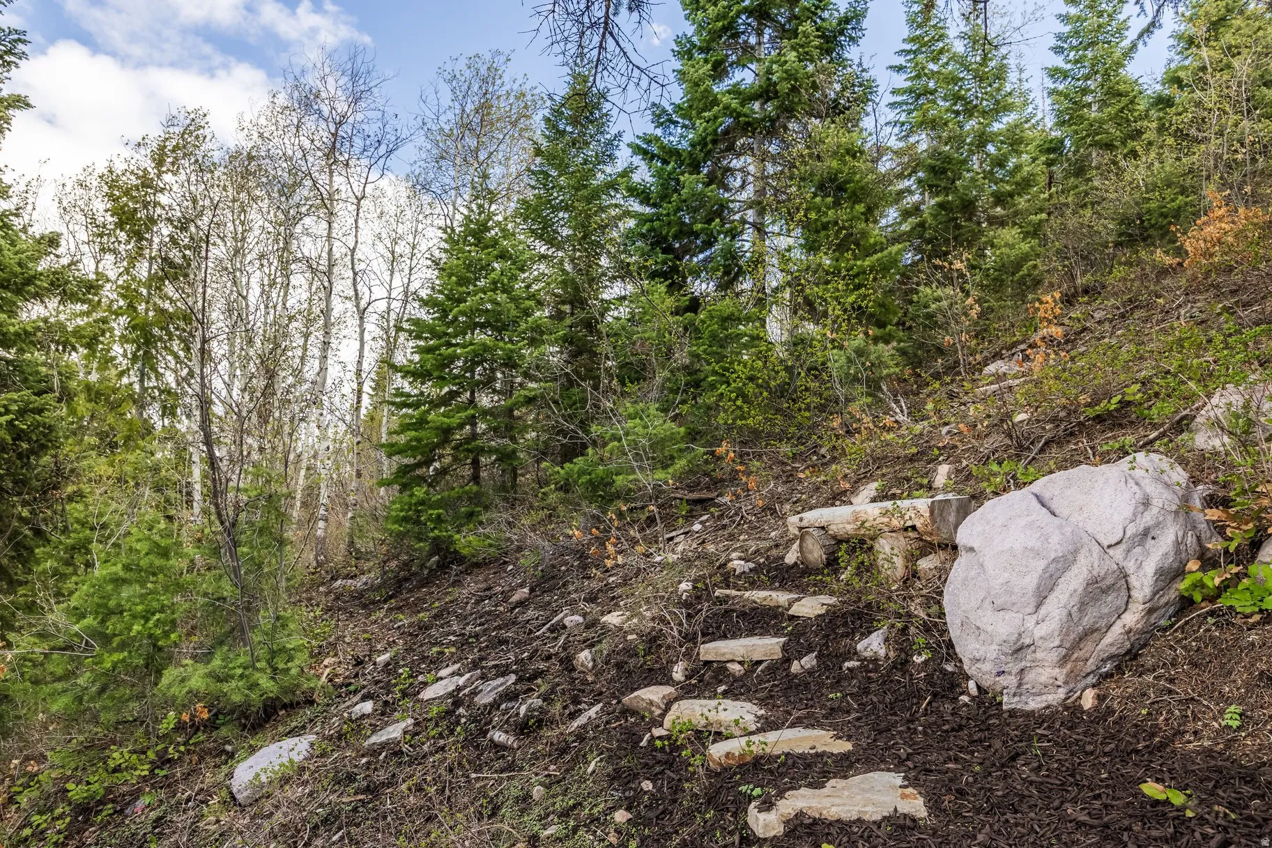 Wooded hillside property featuring a natural rock staircase and a variety of mature trees