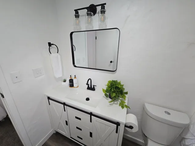 Bathroom featuring vanity and dark wood finished floors