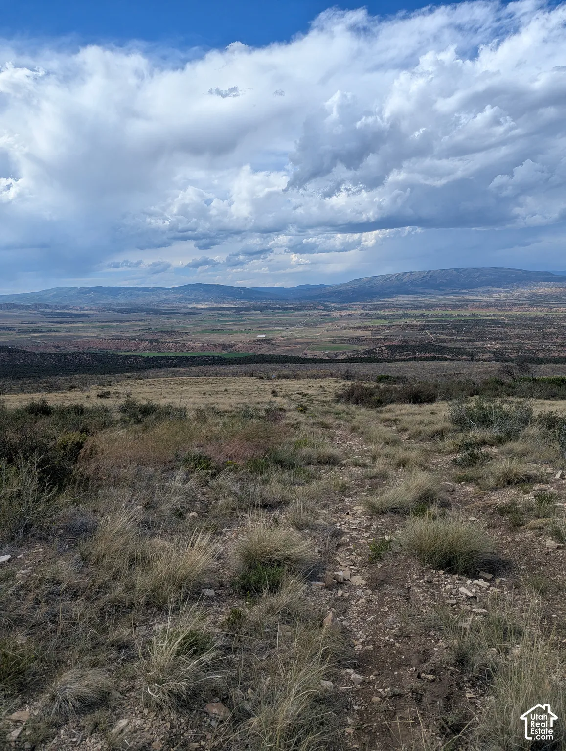 View looking North from West side property.  Subject lies to the right of gravel road.