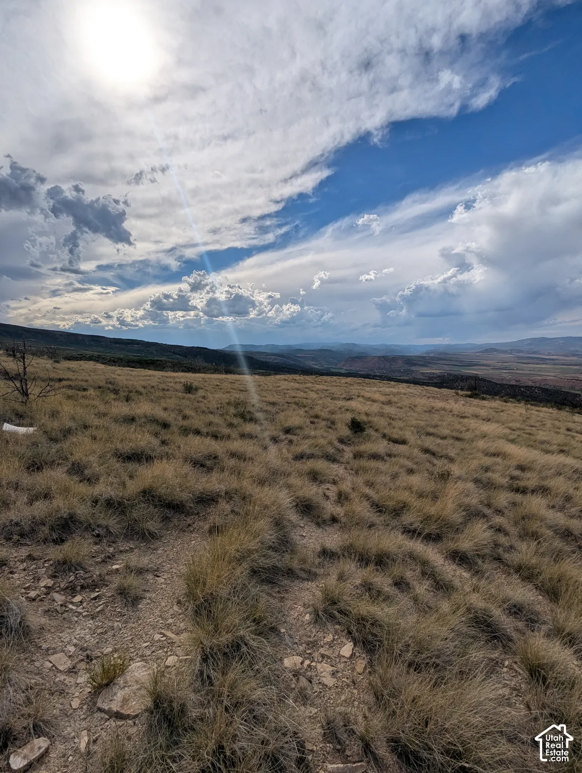 View looking Northwest from West side property.