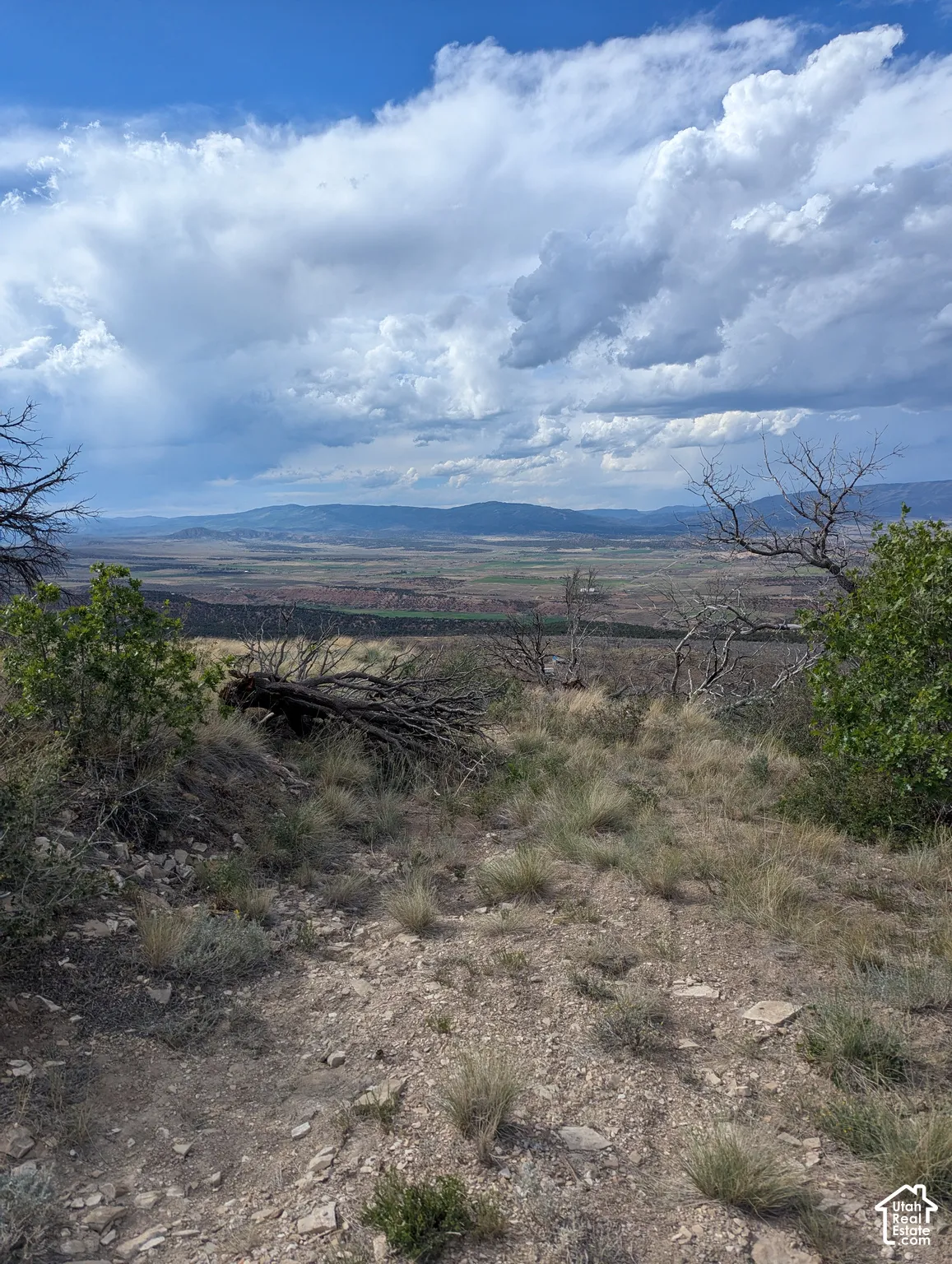 View looking North from West side property. Tabby Mountain and High Uintahs. Subject lies to the right of photo.