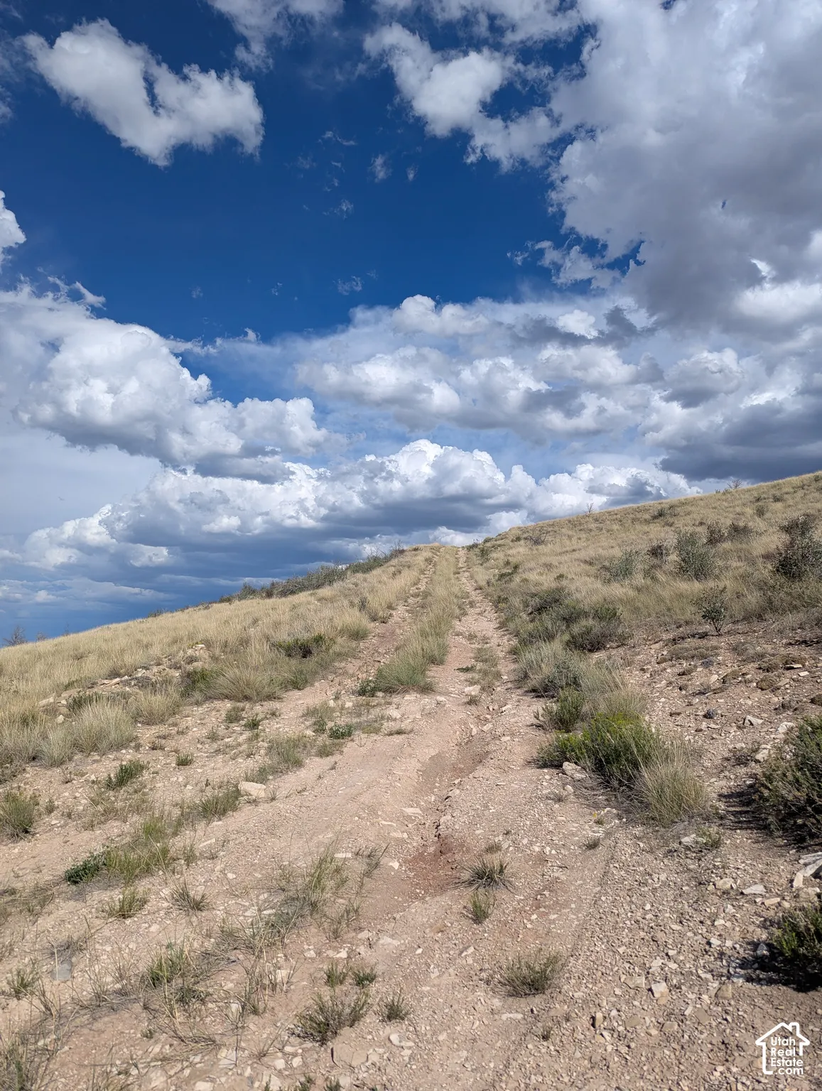 View looking South along gravel road.