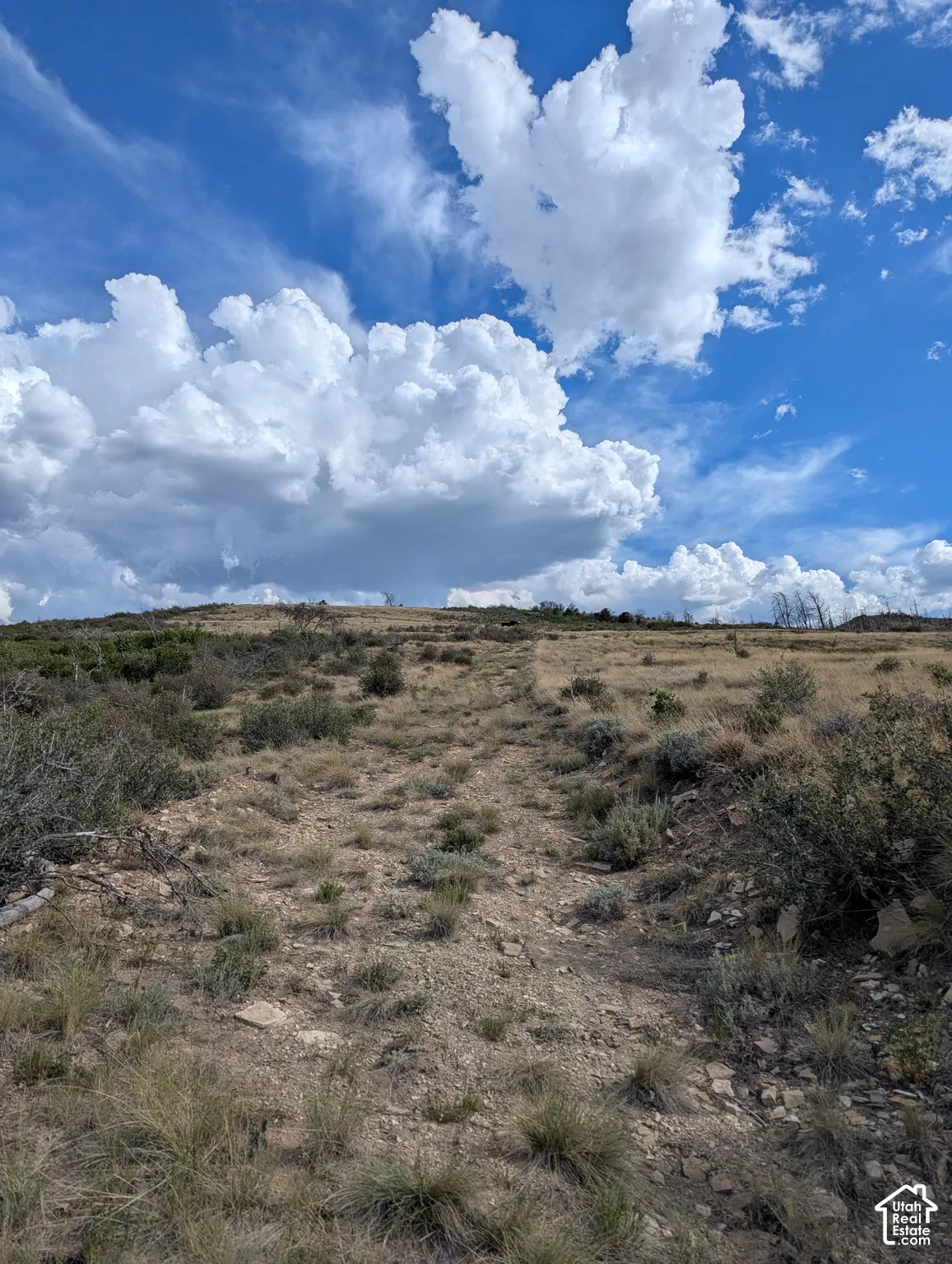 View looking South from West side property.  Subject lies to left of photo.