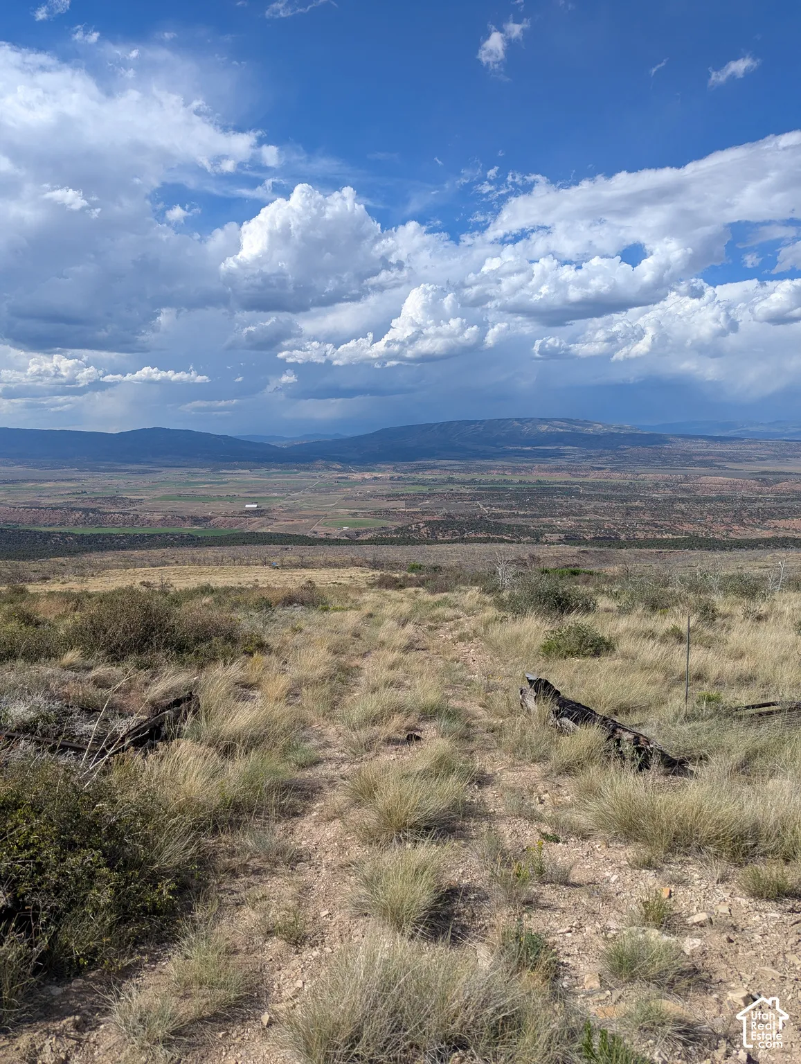 View looking North along gravel road. Property lies to the right side of photo.