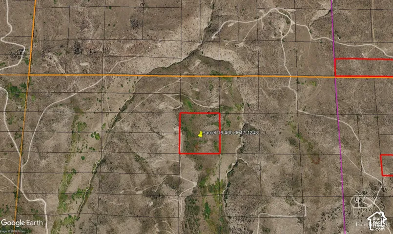 Google Earth Image of subject.