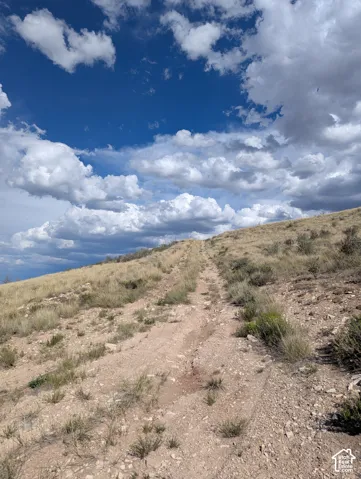 View looking South along gravel road.