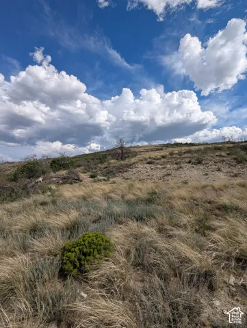 View looking South from West side property. Property lies to the left side of photo.