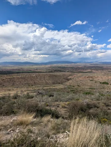 View looking North from West side of property.