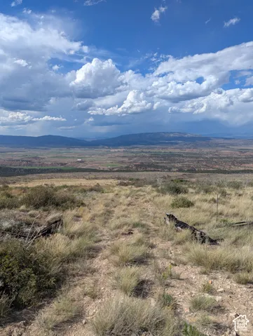 View looking North along gravel road. Property lies to the right side of photo.