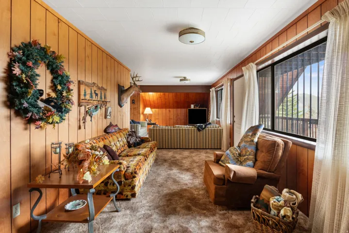 Living area with wooden walls and carpet floors