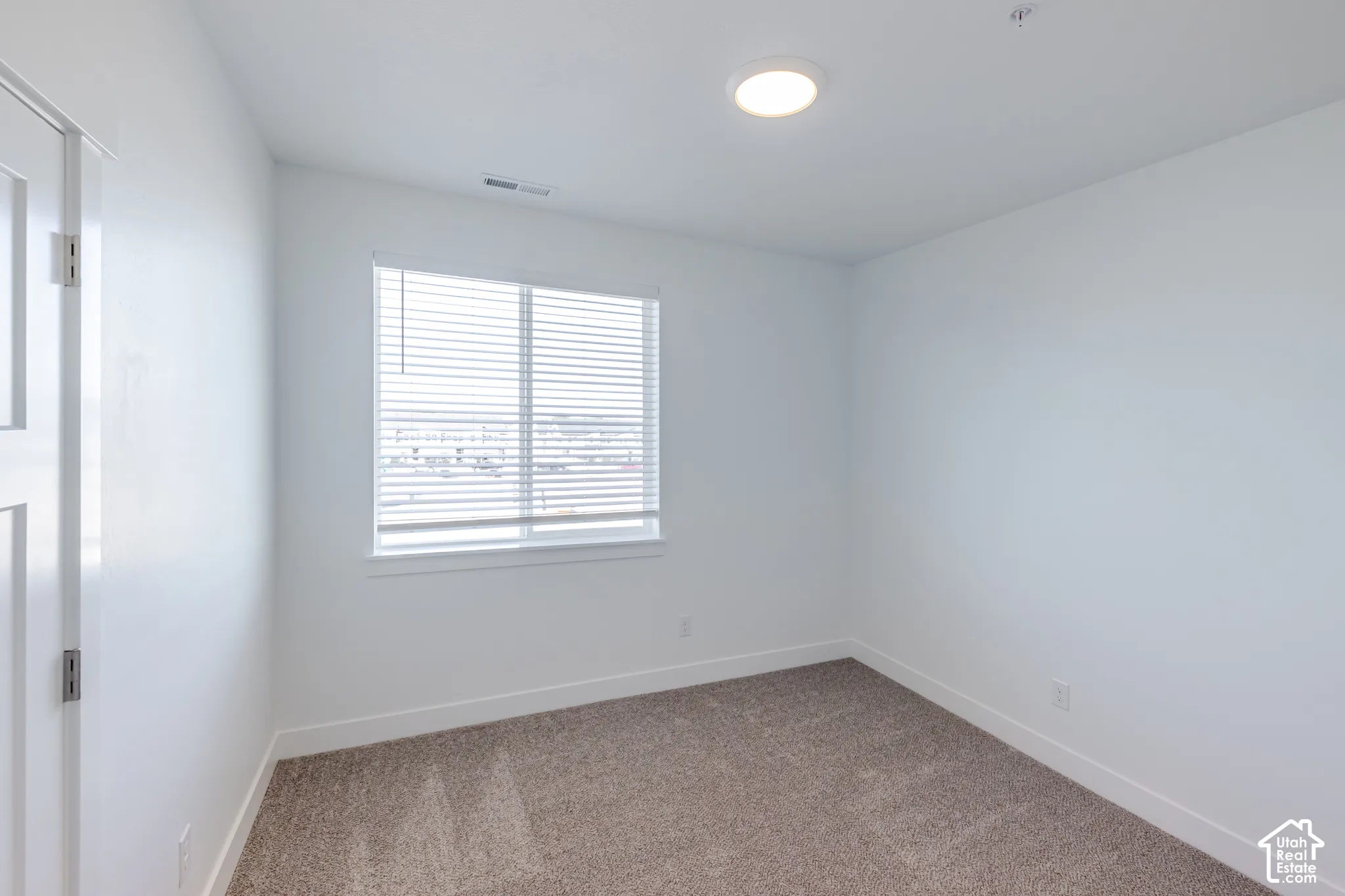 Neutral-toned carpeting, window with installed blinds, and ceiling-mounted light fixture