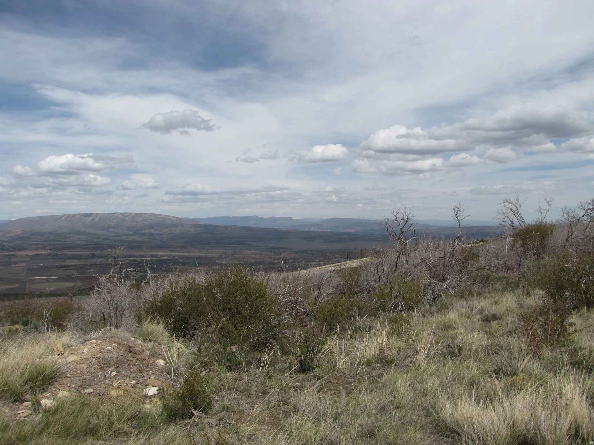 View looking North from Strawberry Road at Tabby Mountain and Uintahs.