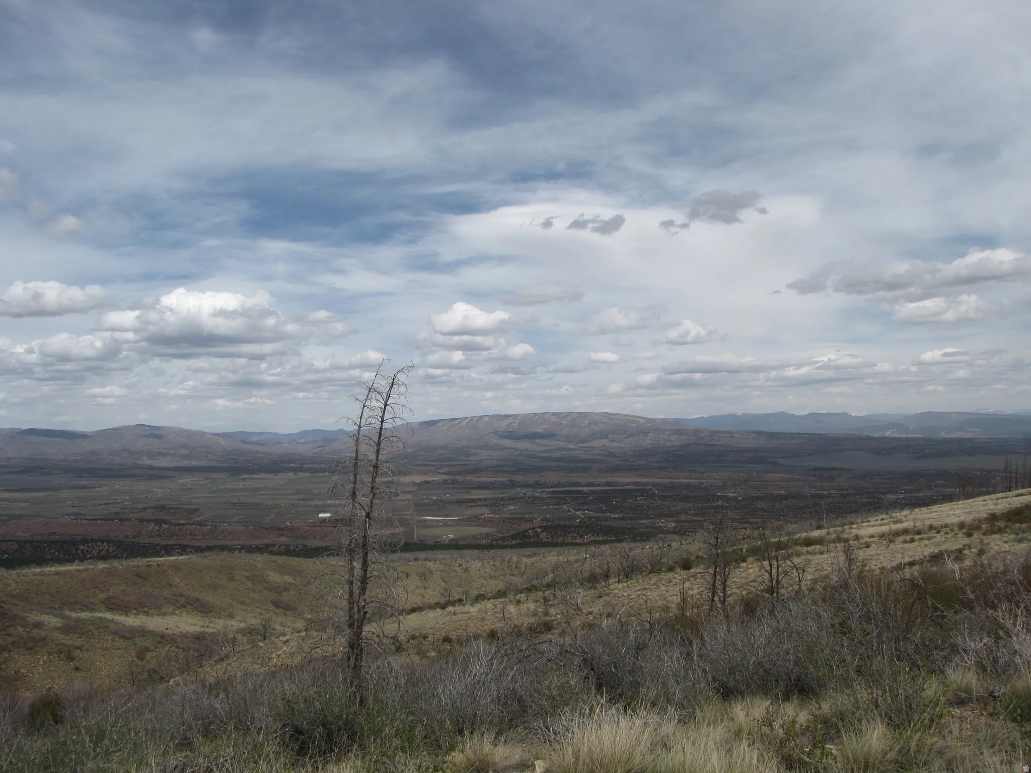 View looking North from Strawberry Road at Tabby Mountain and Uintahs.