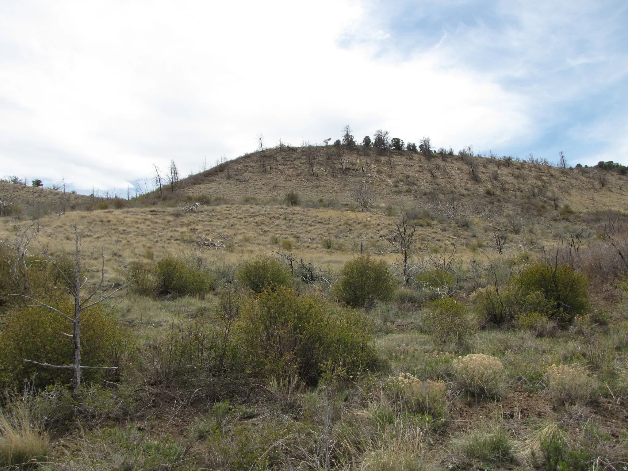 Looking South from Strawberry Road at Subject.