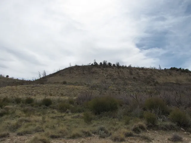 Looking South from Strawberry Road at Subject.