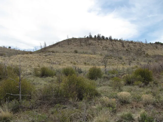 Looking South from Strawberry Road at Subject.