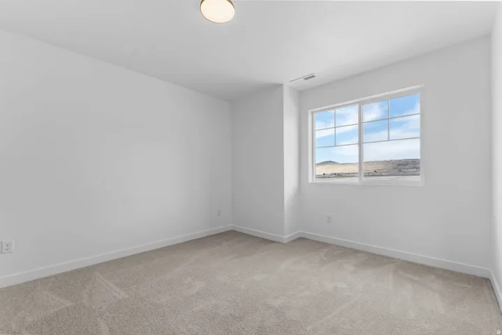 Bright room featuring a large window with white grid panes, neutral carpeting, white baseboards, and a flush-mount ceiling light
