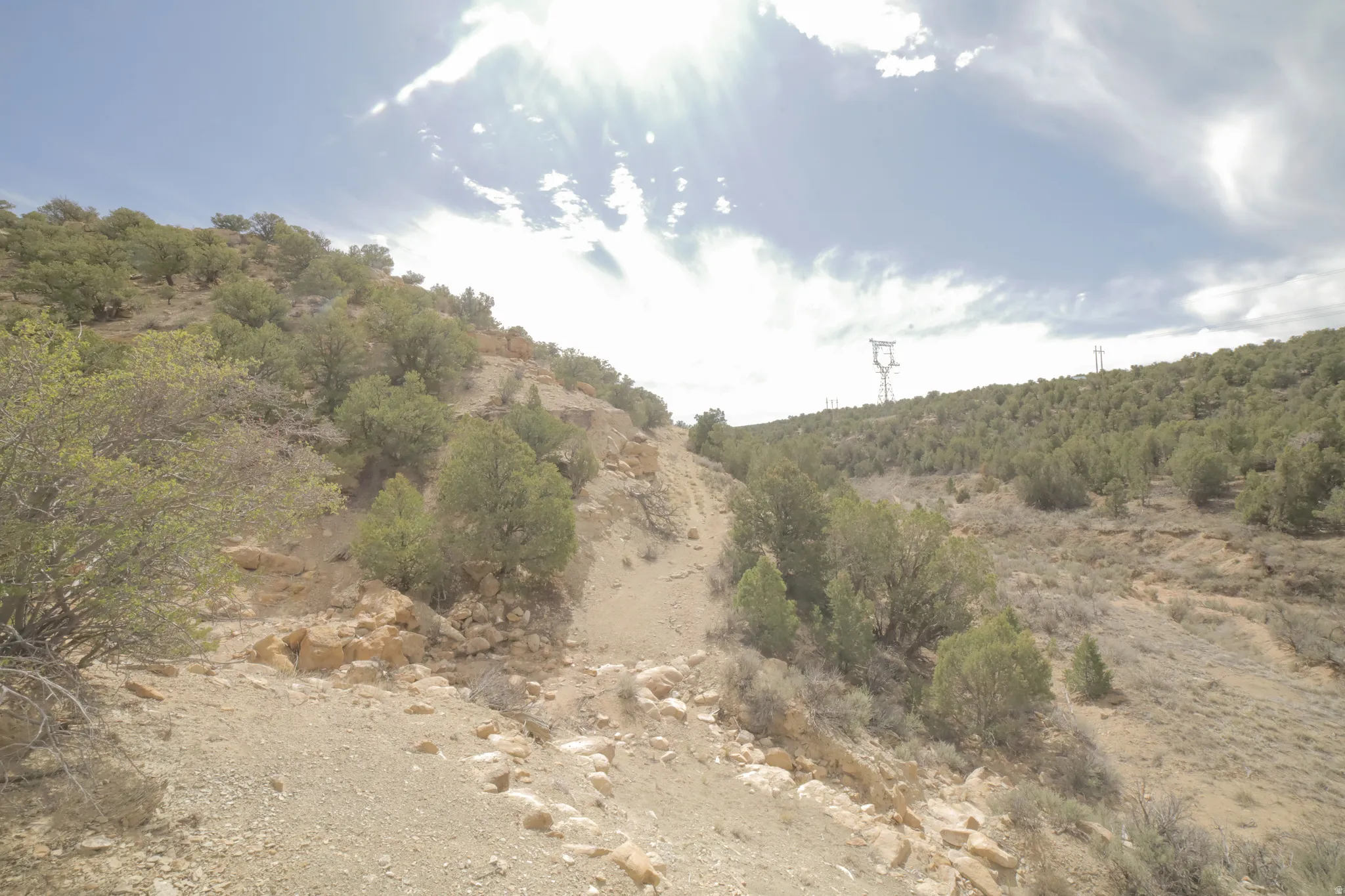View of nature