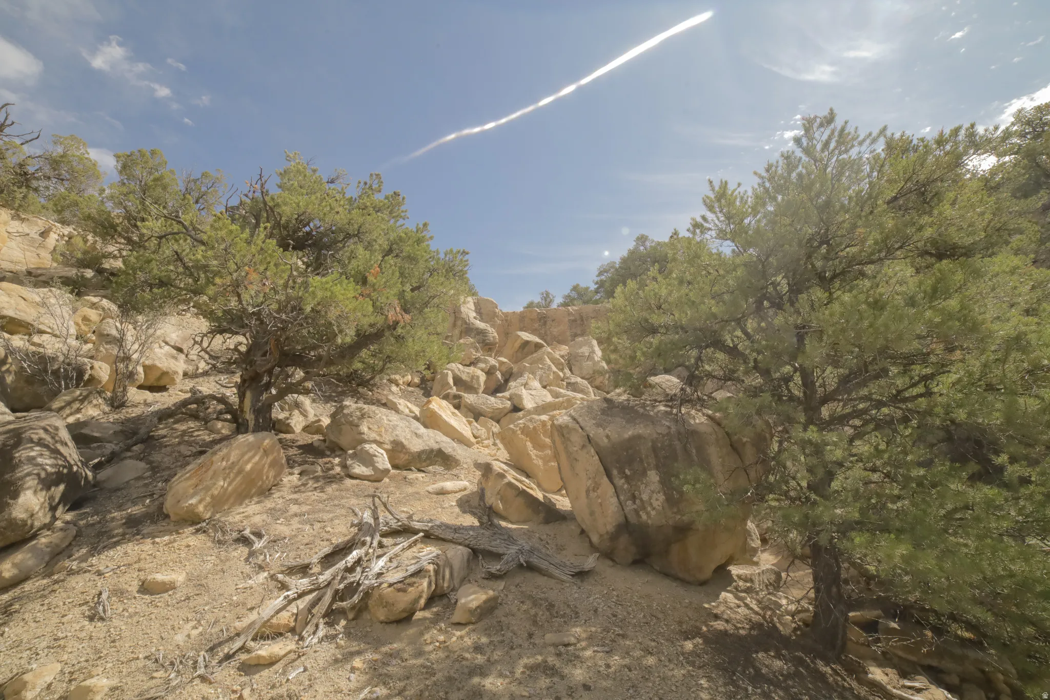 View of nature