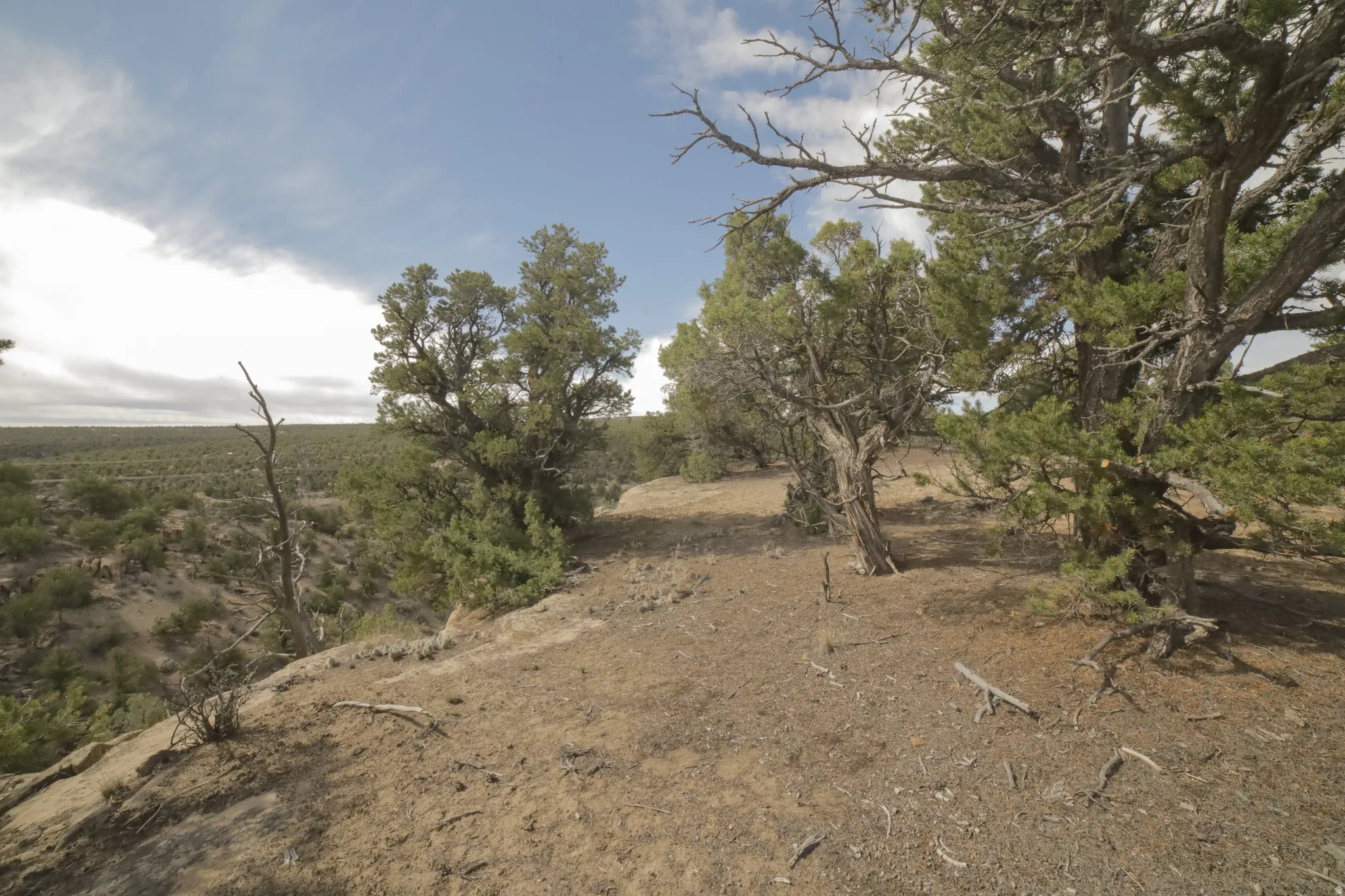 View of nature featuring rural landscape