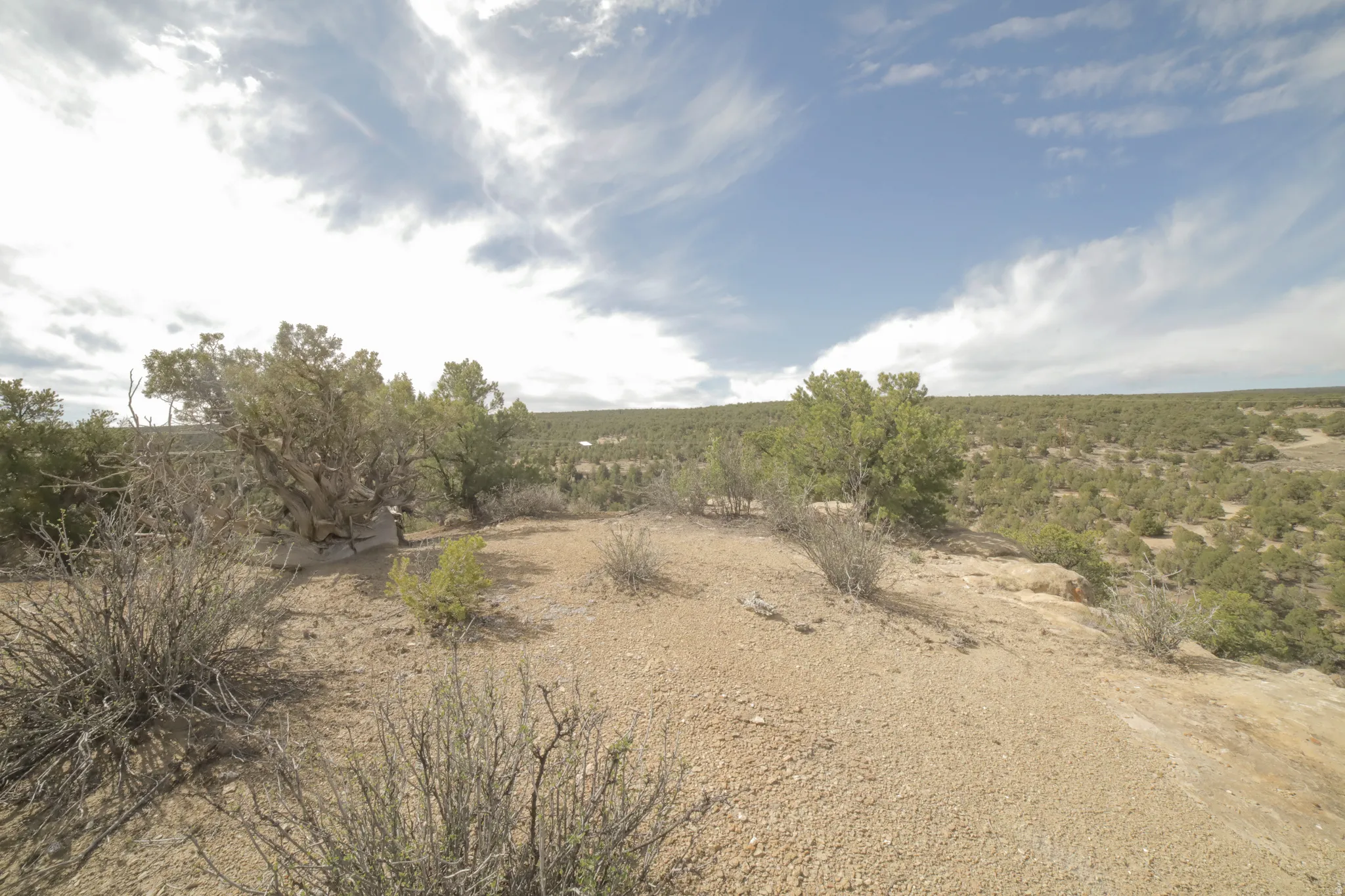 View of undeveloped land featuring rural landscape