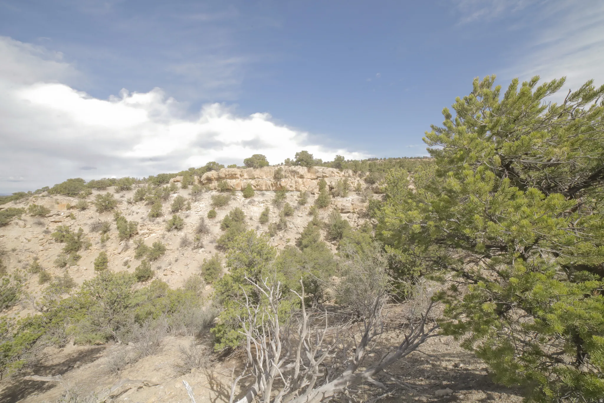 View of nature featuring a mountainous background