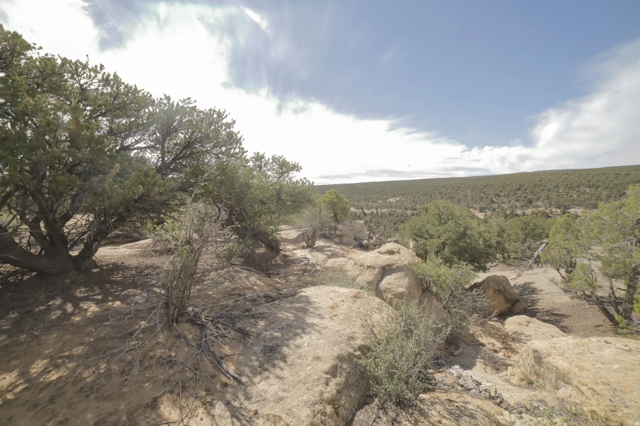 View of undeveloped land