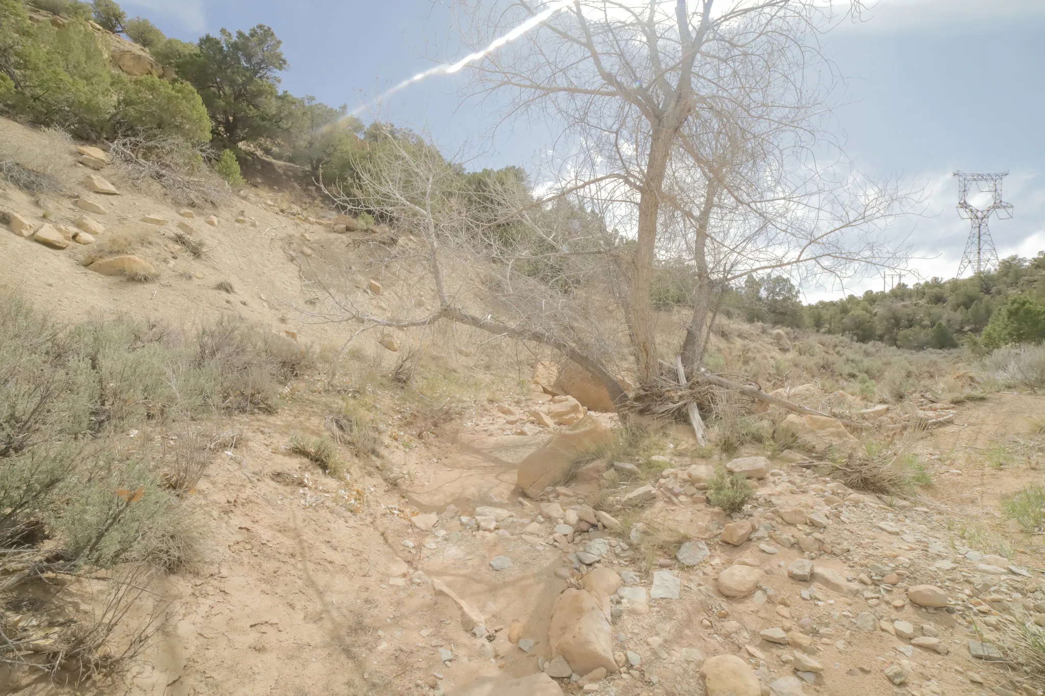 View of undeveloped land